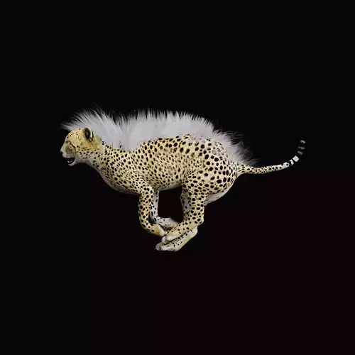 Young Cheetah Animal 3D model