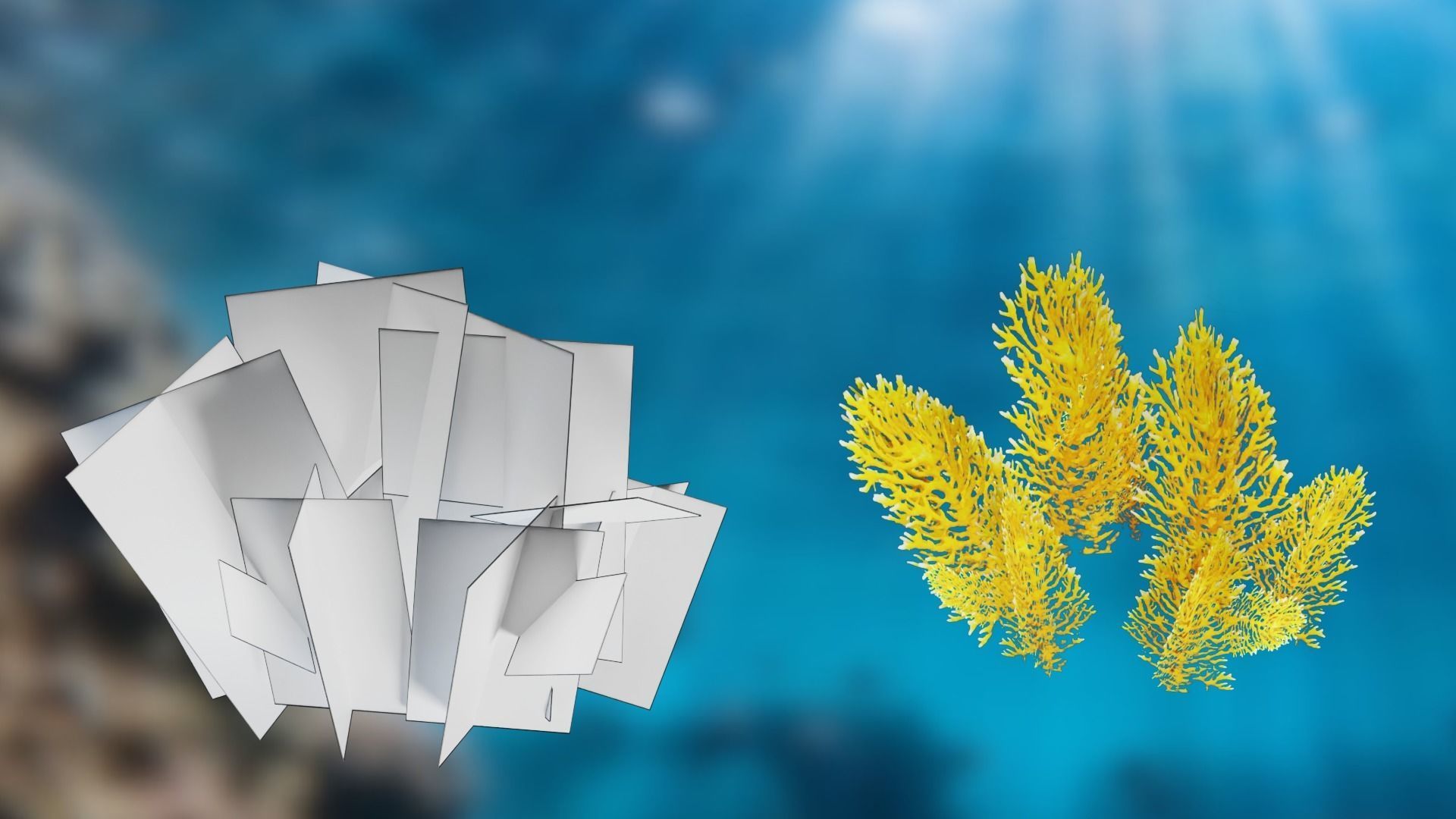 Lowpoly Coral Pack Low-poly 3D model_13