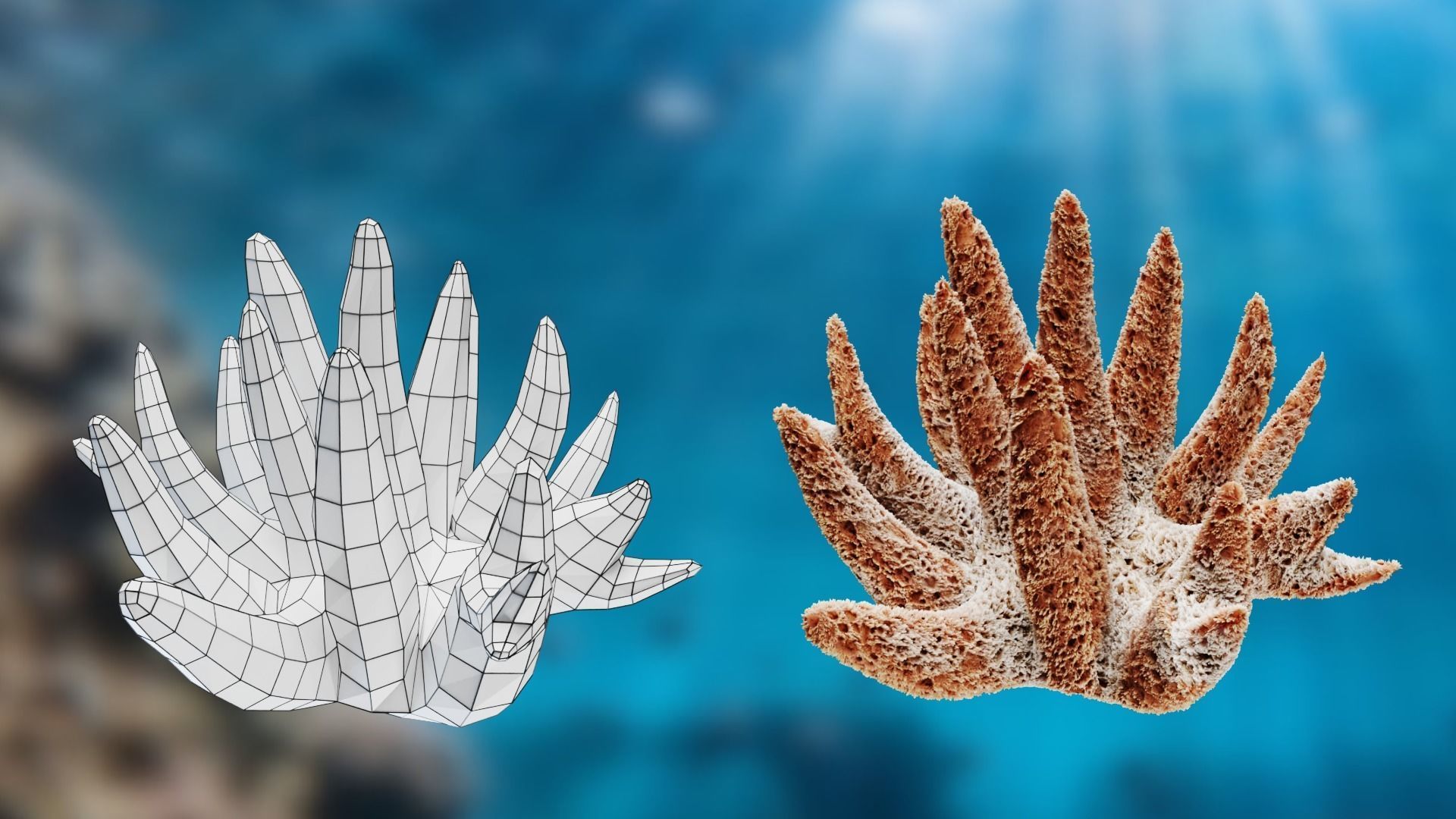 Lowpoly Coral Pack Low-poly 3D model_5