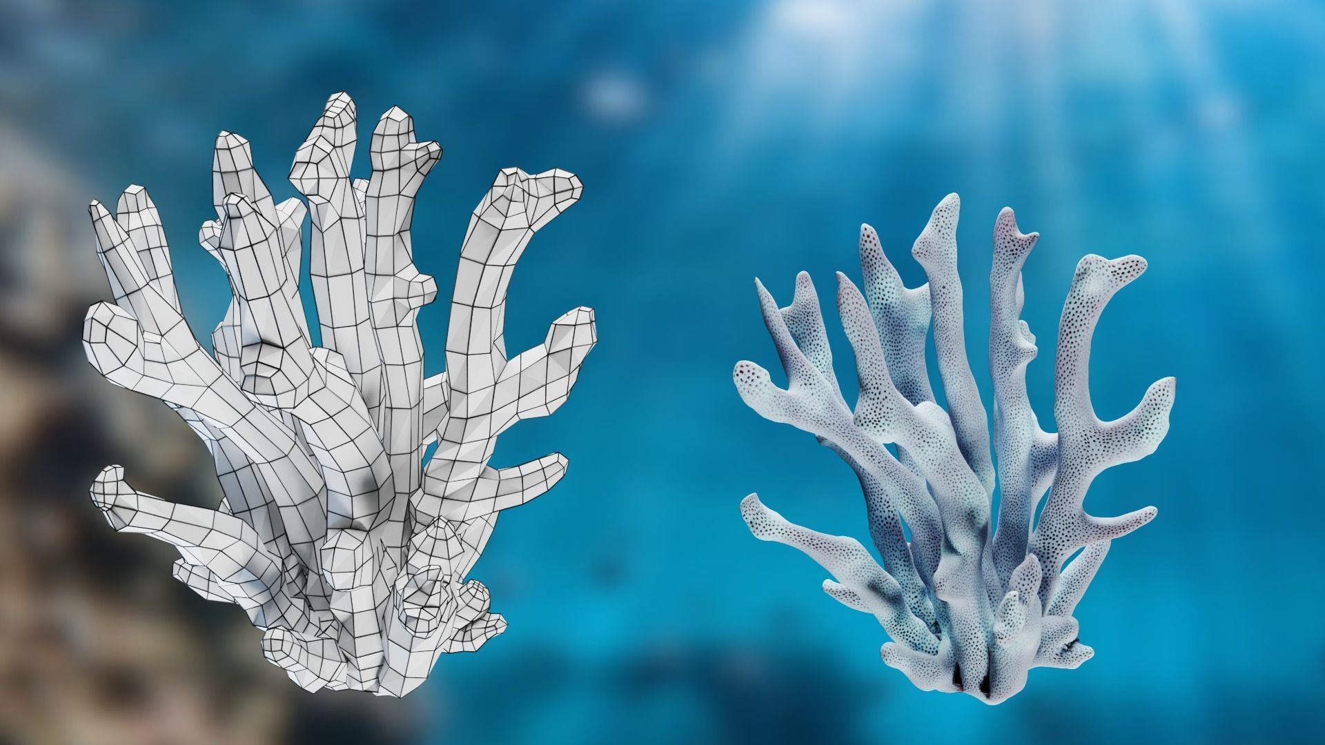 Lowpoly Coral Pack Low-poly 3D model_15