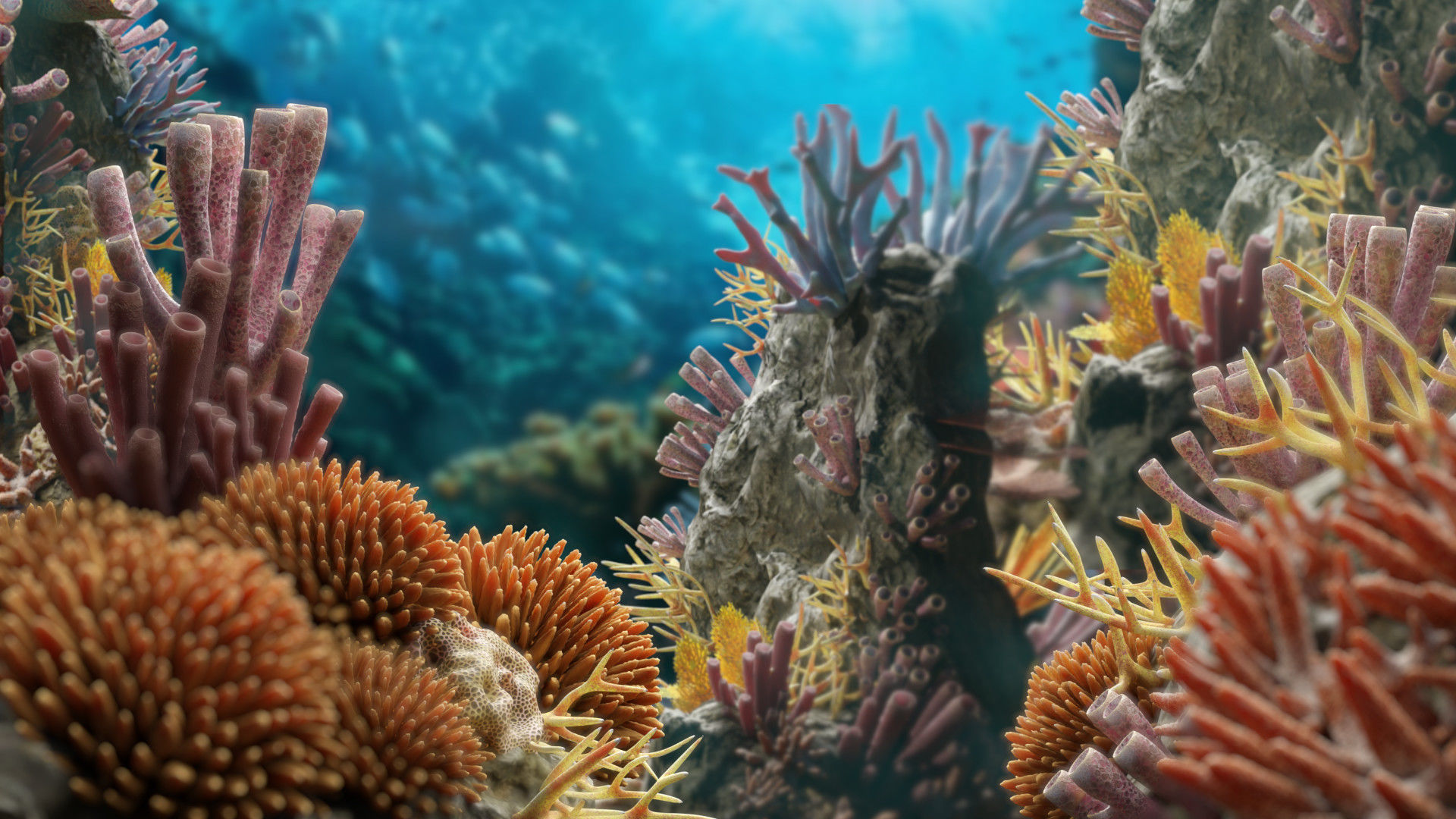 Lowpoly Coral Pack Low-poly 3D model_3