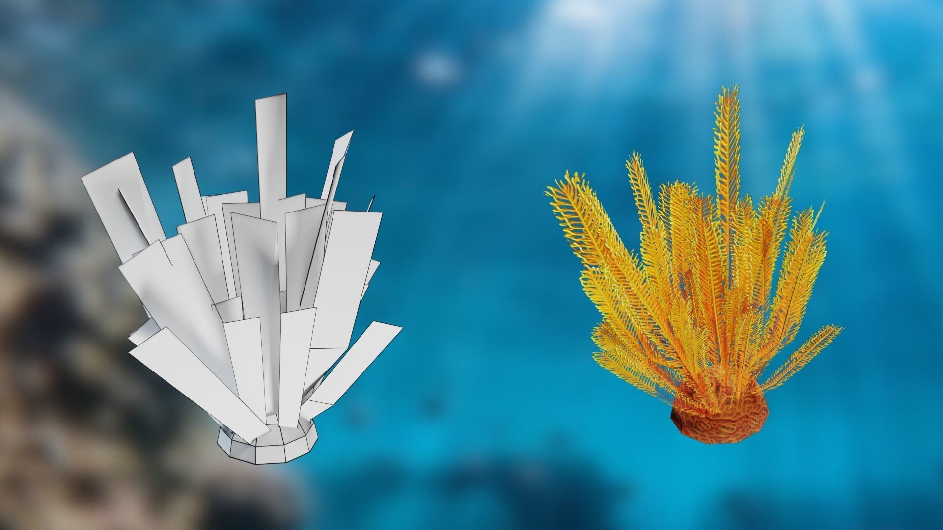 Lowpoly Coral Pack Low-poly 3D model_6