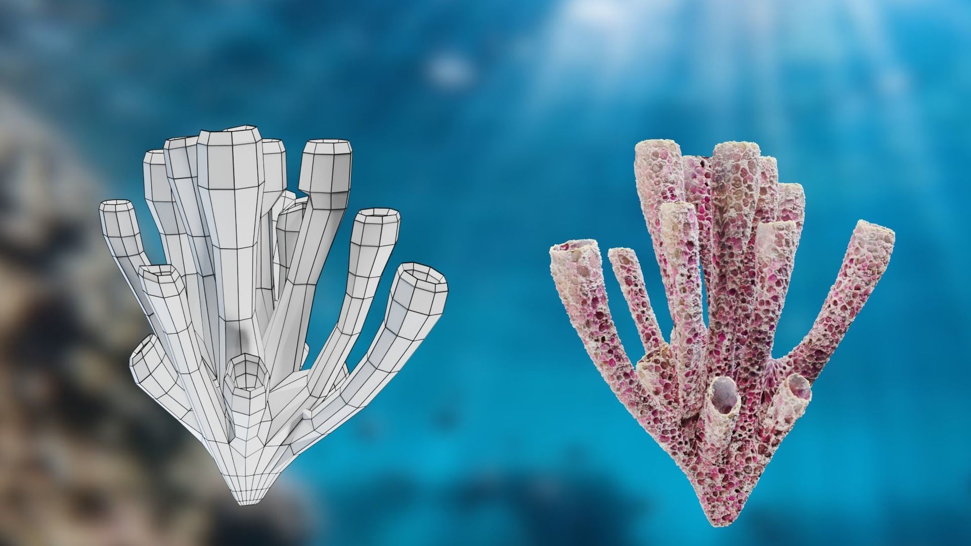 Lowpoly Coral Pack Low-poly 3D model_12