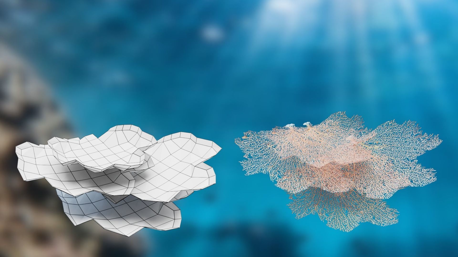 Lowpoly Coral Pack Low-poly 3D model_10