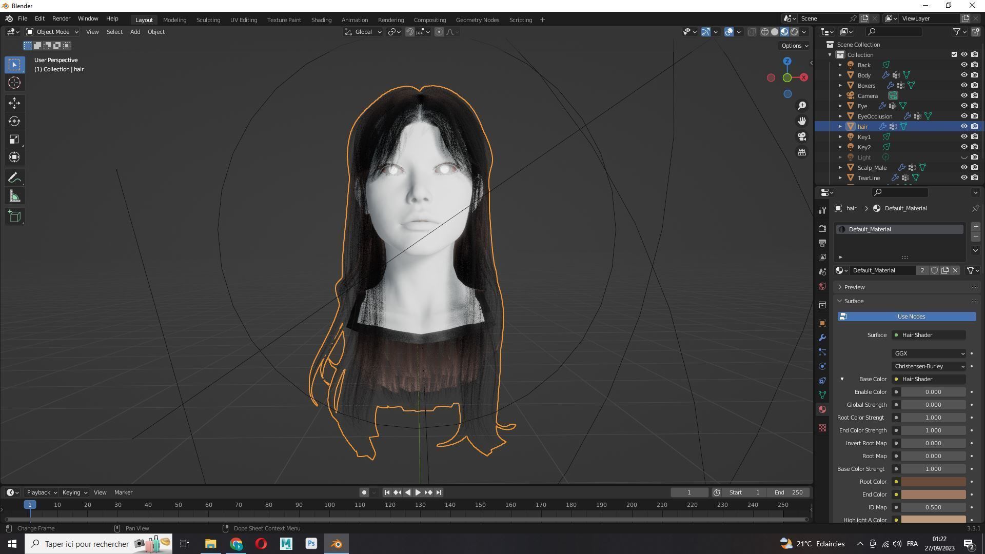 Female Hair - Classic Long Hair Cards Low-poly 3D model_12