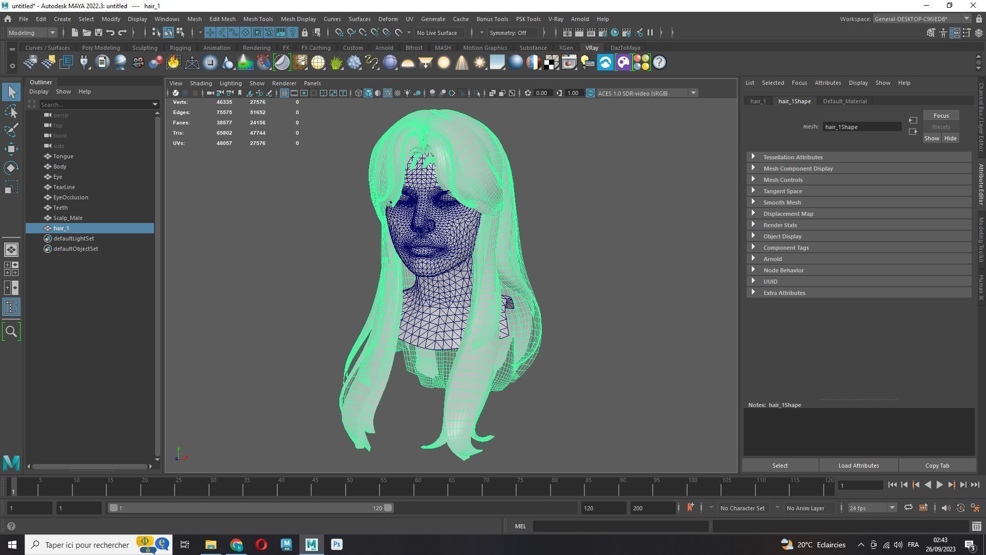 Female Hair - Classic Long Hair Cards Low-poly 3D model_9