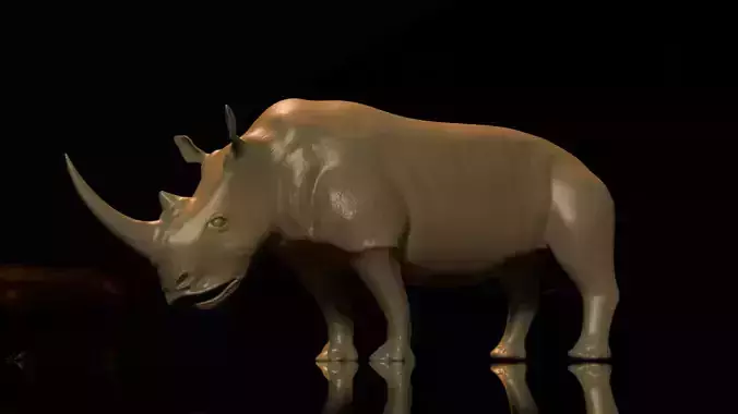 African White Rhino 3D model 