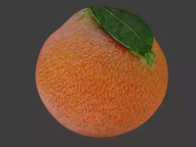 Realistic high quality Orange - Fruit