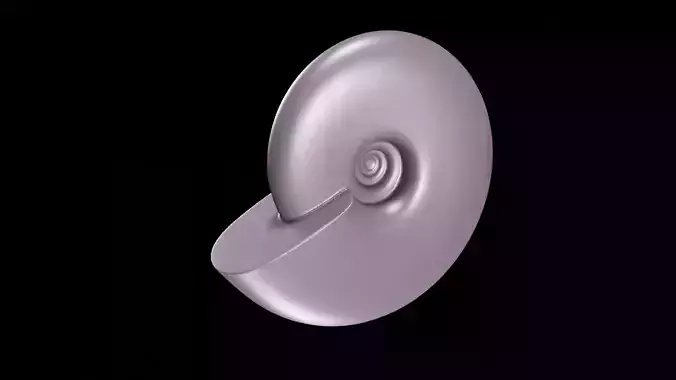 Discocone shell smooth surface 3D print model