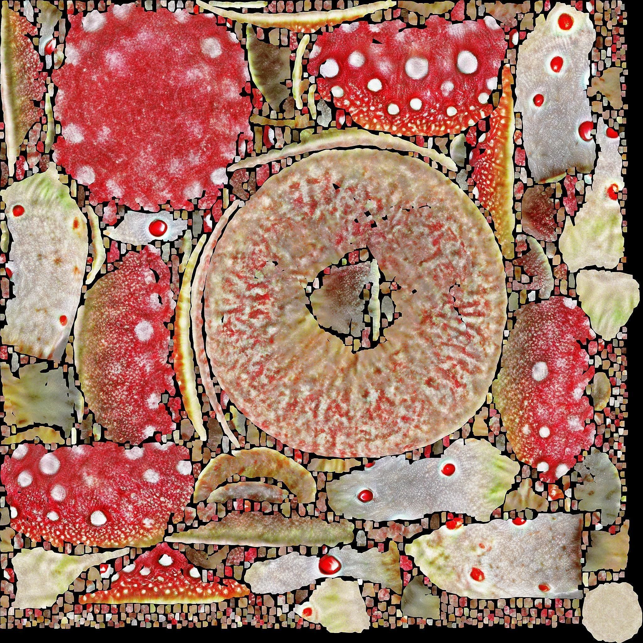 Realistic high quality red fungus - Mushroom 3D model_9