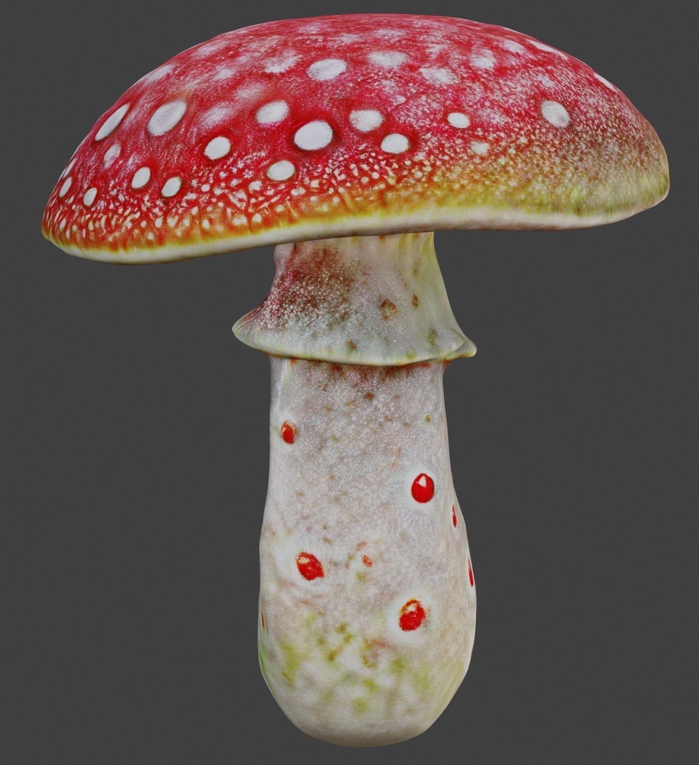Realistic high quality red fungus - Mushroom 3D model_11