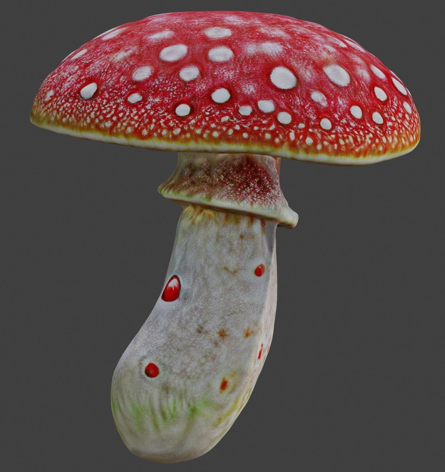Realistic high quality red fungus - Mushroom 3D model_12