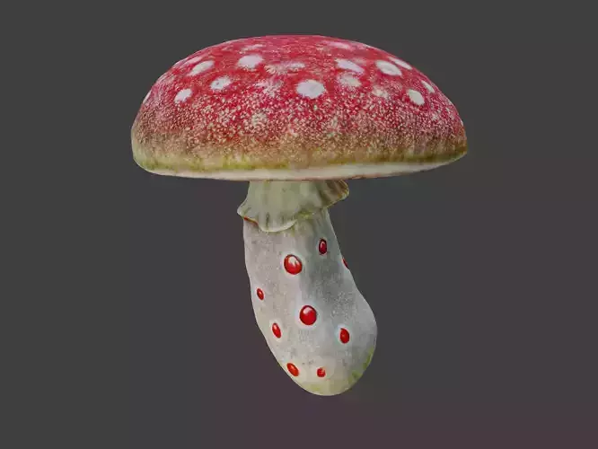 Realistic high quality red fungus - Mushroom