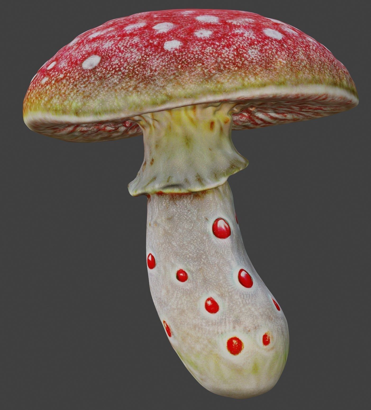 Realistic high quality red fungus - Mushroom 3D model_10