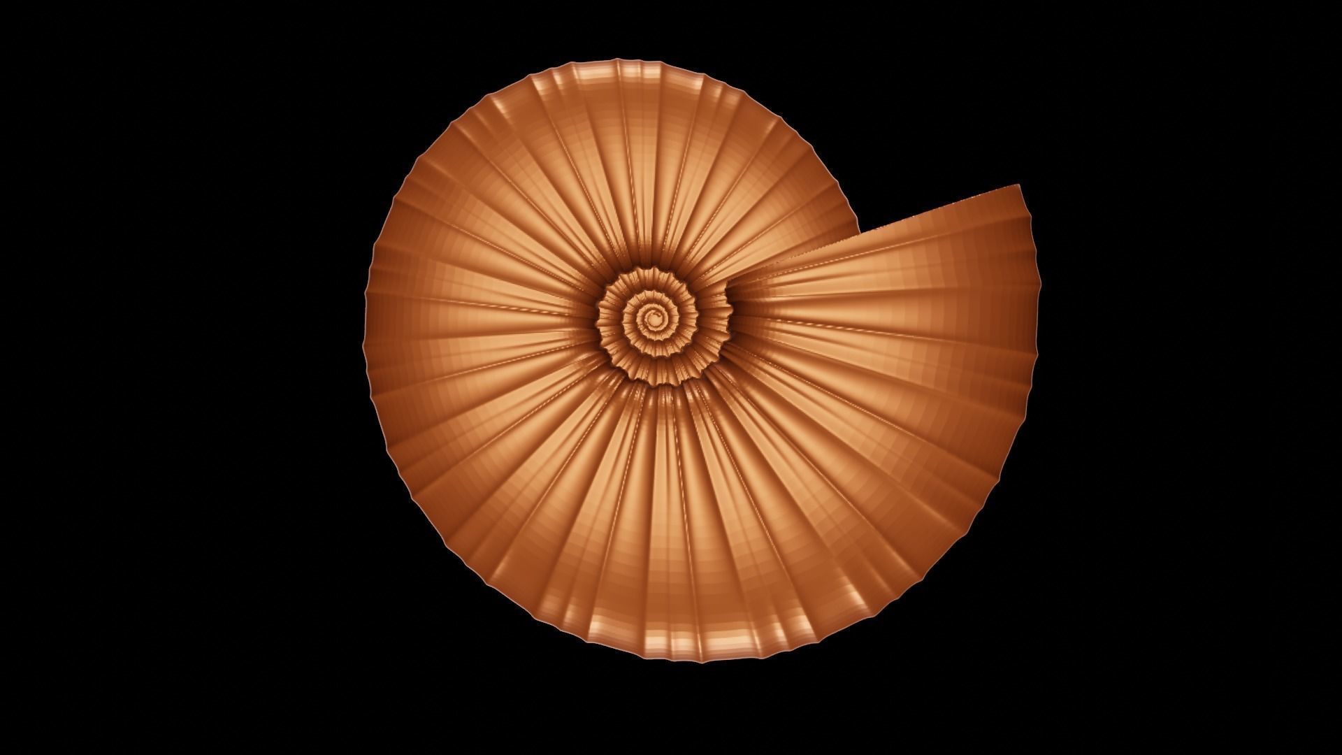 Discocone ornamented ribbing pattern I 3D print model_3