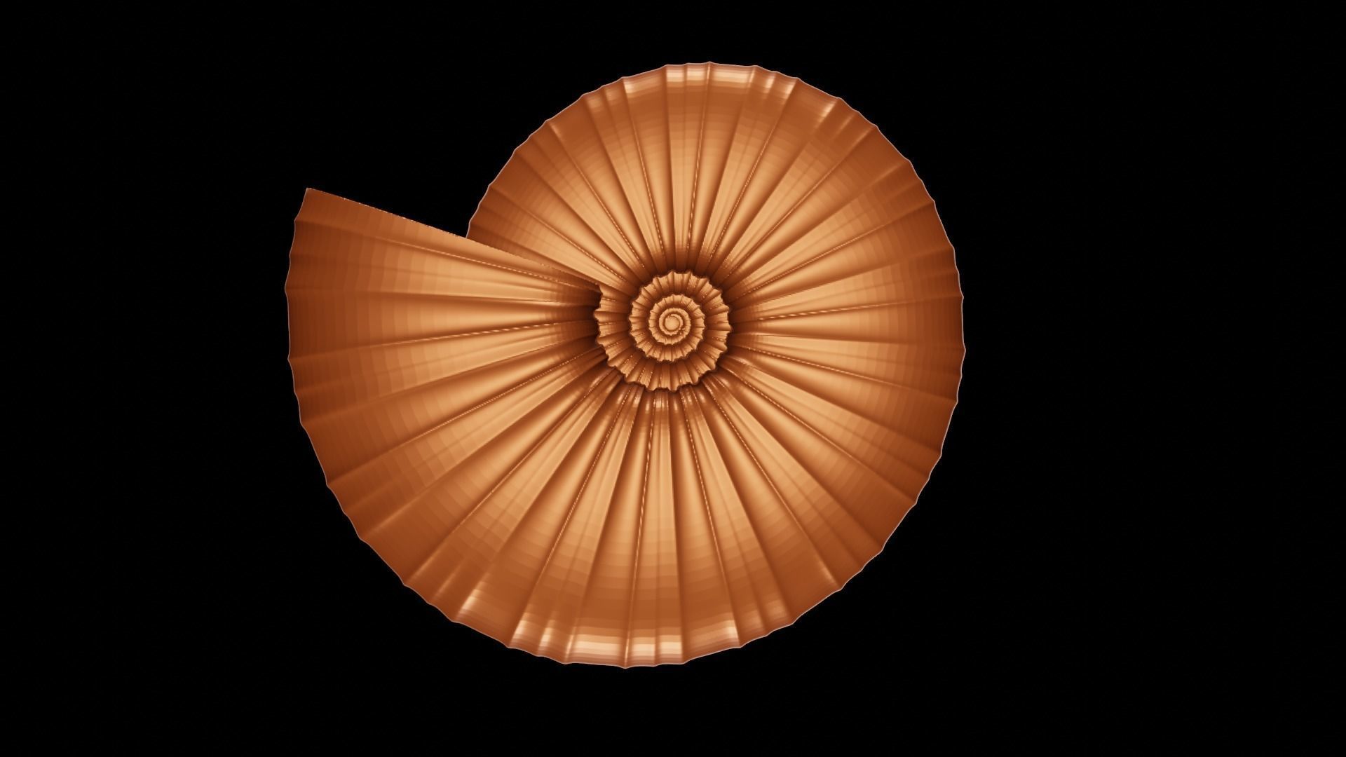 Discocone ornamented ribbing pattern I 3D print model_1