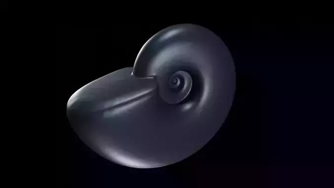 Discocone wide 3D print model