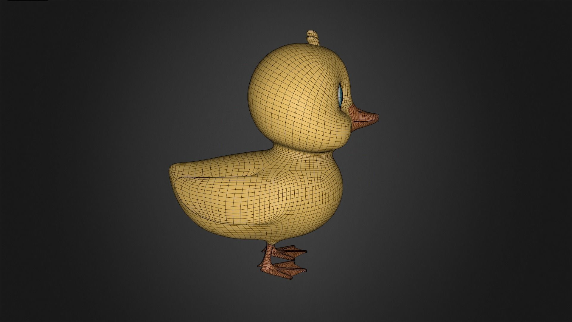 Asset - Cartoons - Animal - Duck Rigged 3D model_7