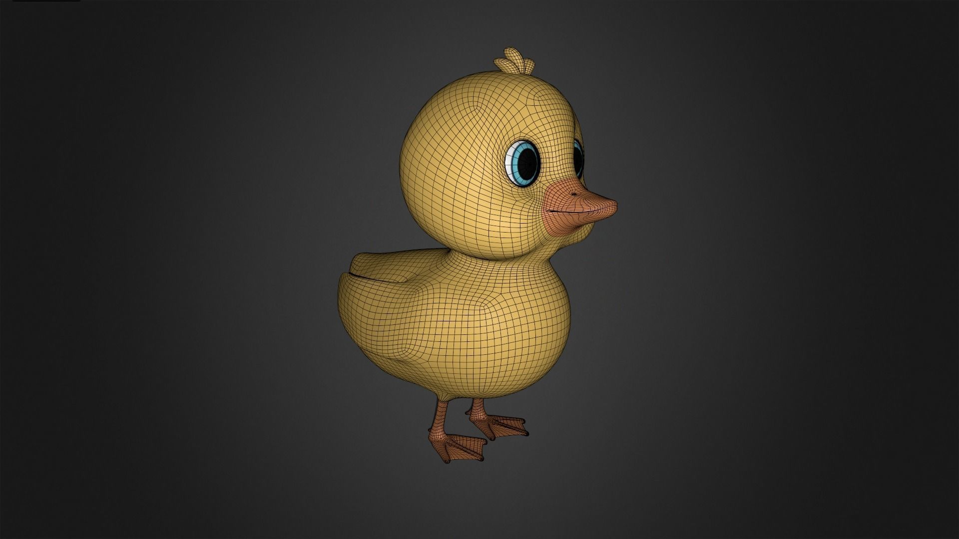 Asset - Cartoons - Animal - Duck Rigged 3D model_5