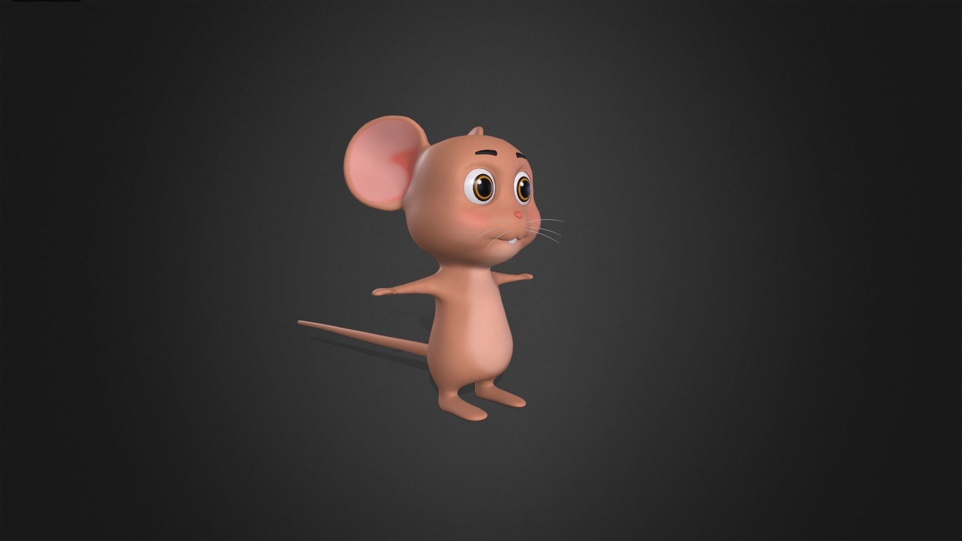Asset - Cartoons - Animal - Little Mouse Rigged 3D model_4