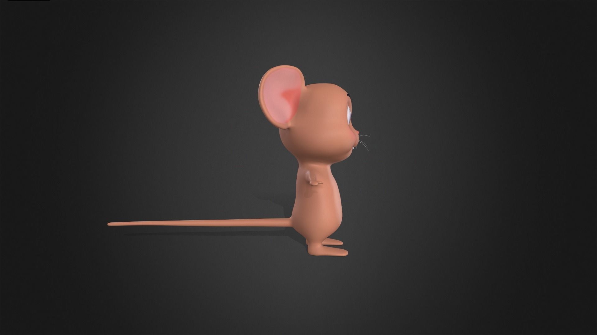 Asset - Cartoons - Animal - Little Mouse Rigged 3D model_7