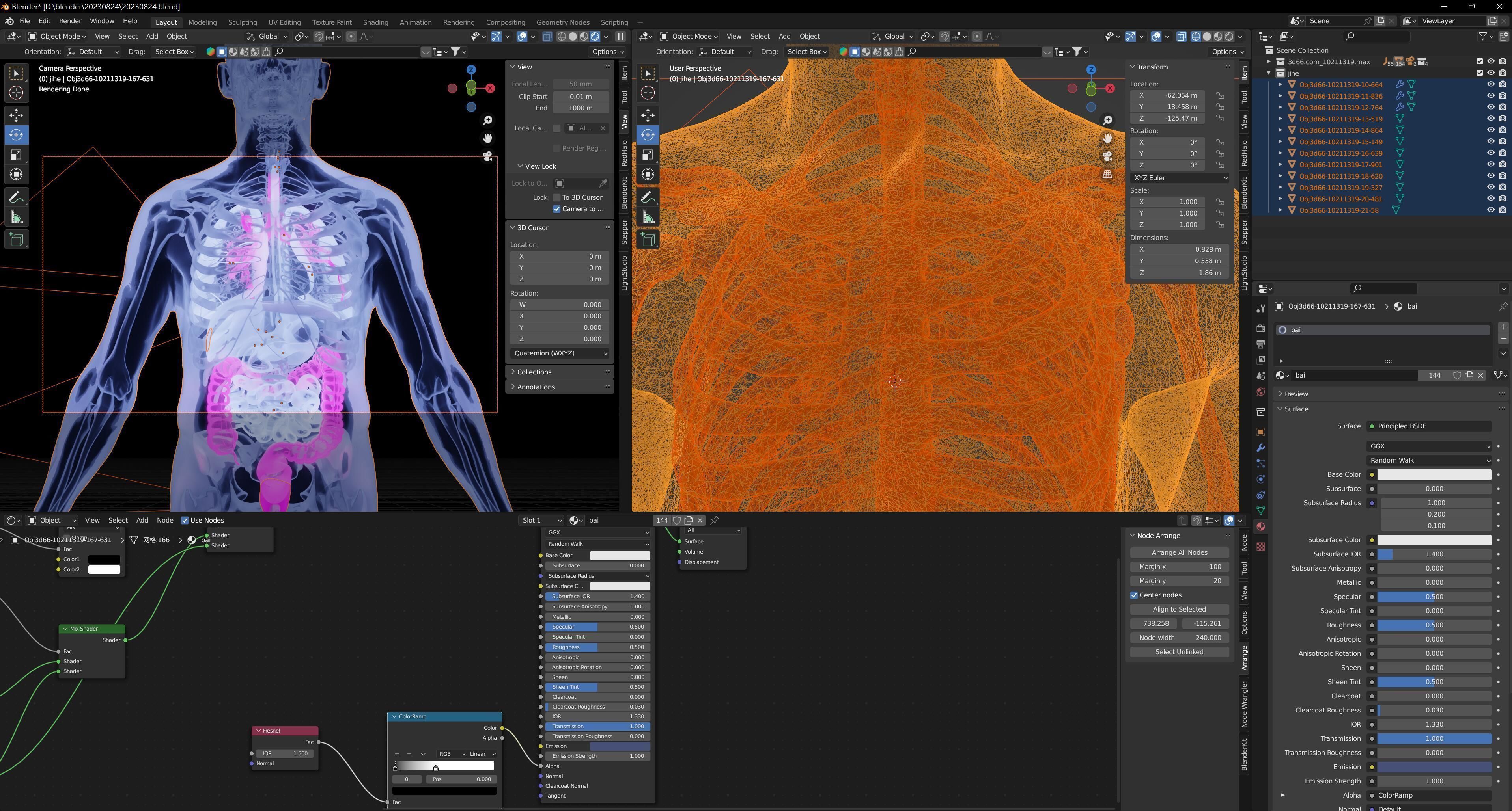 Human Anatomy X-ray Blender 3D 3D model | CGTrader