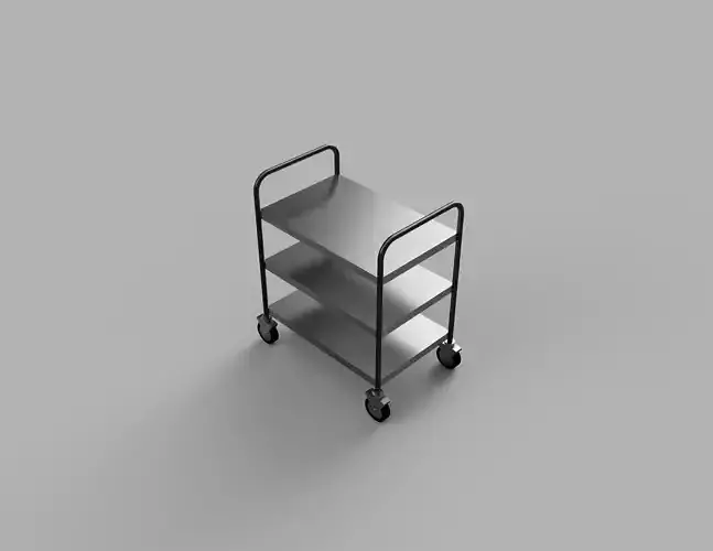 Free Stainless Steel Trolley