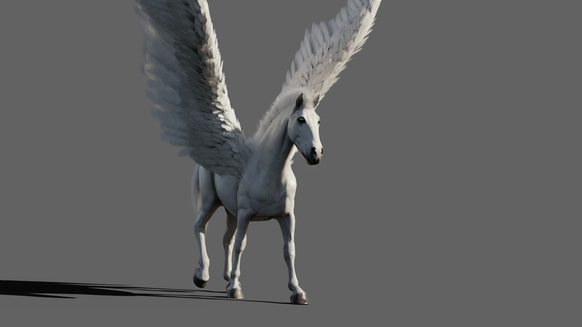 Pegasus 3D model_8