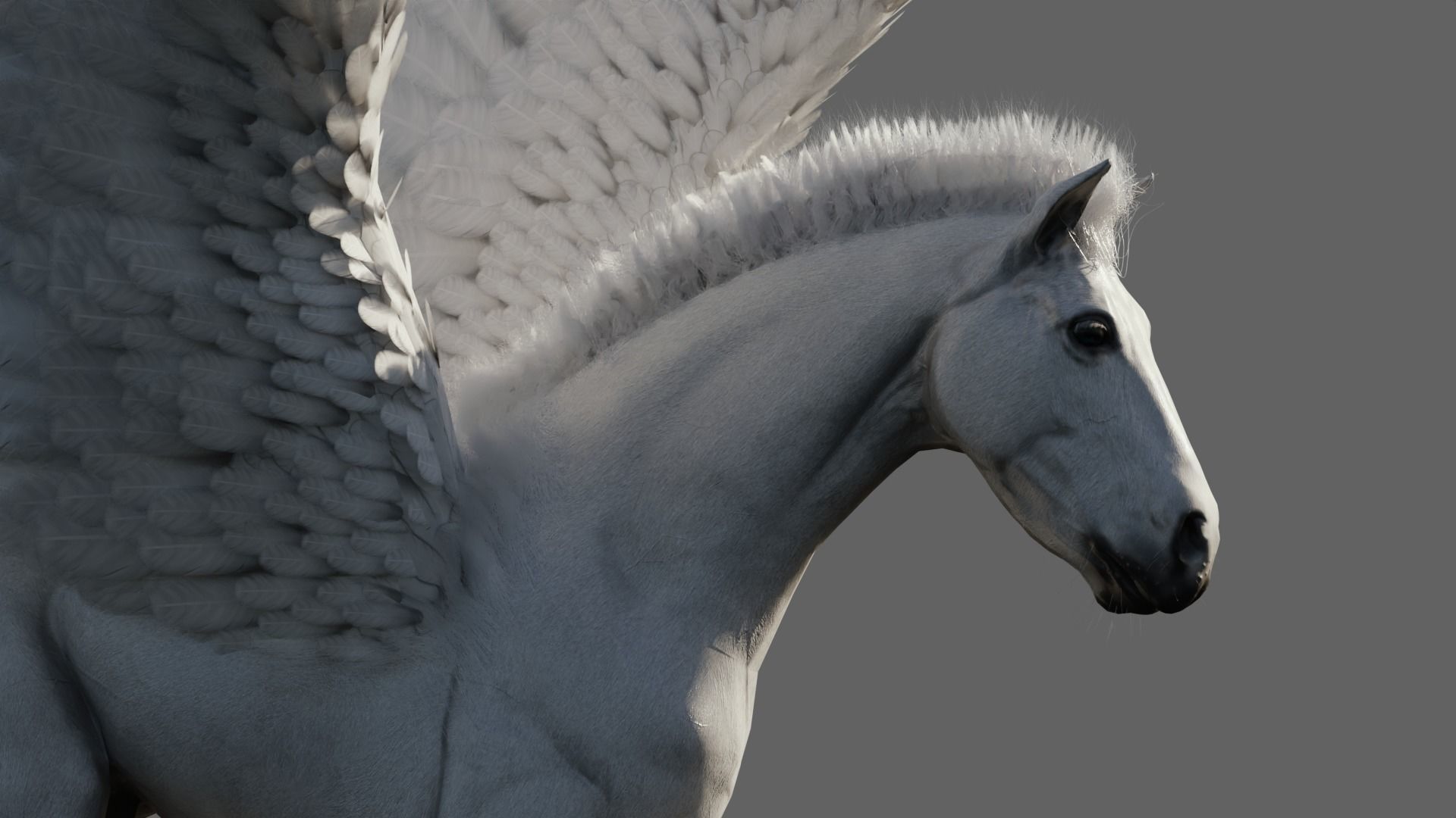 Pegasus 3D model_5