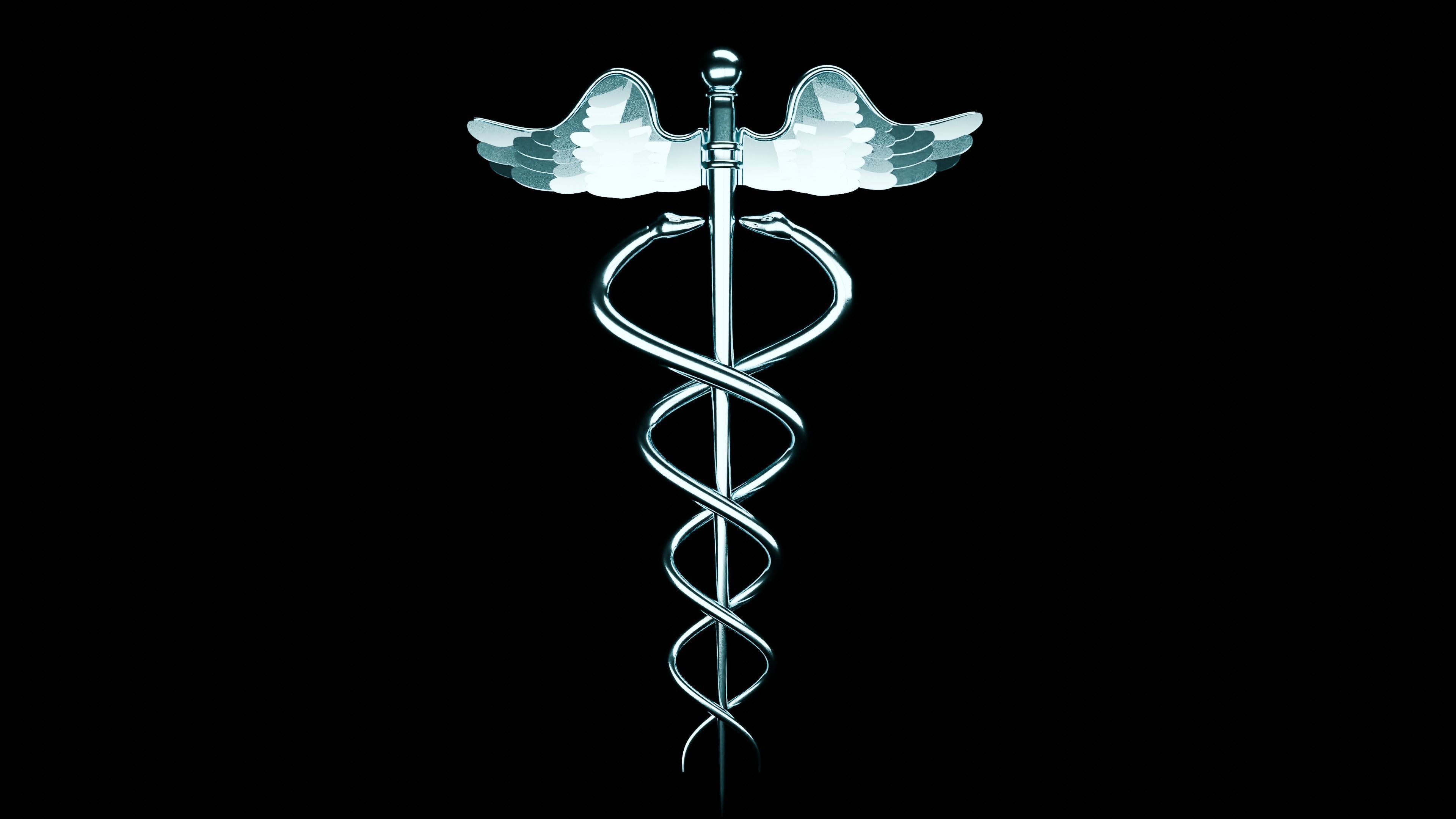 Staff of Hermes Caduceus 3D print model_1