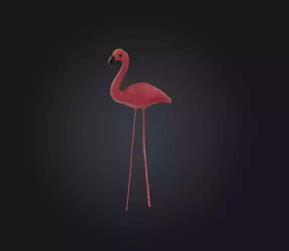 Flamingo