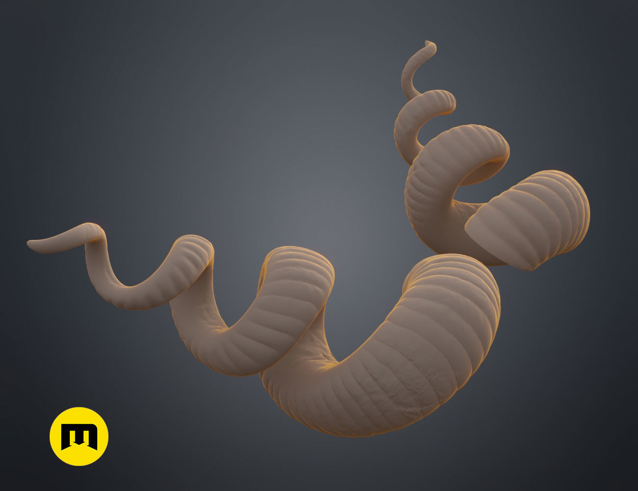 Helical horns 3D print model_7