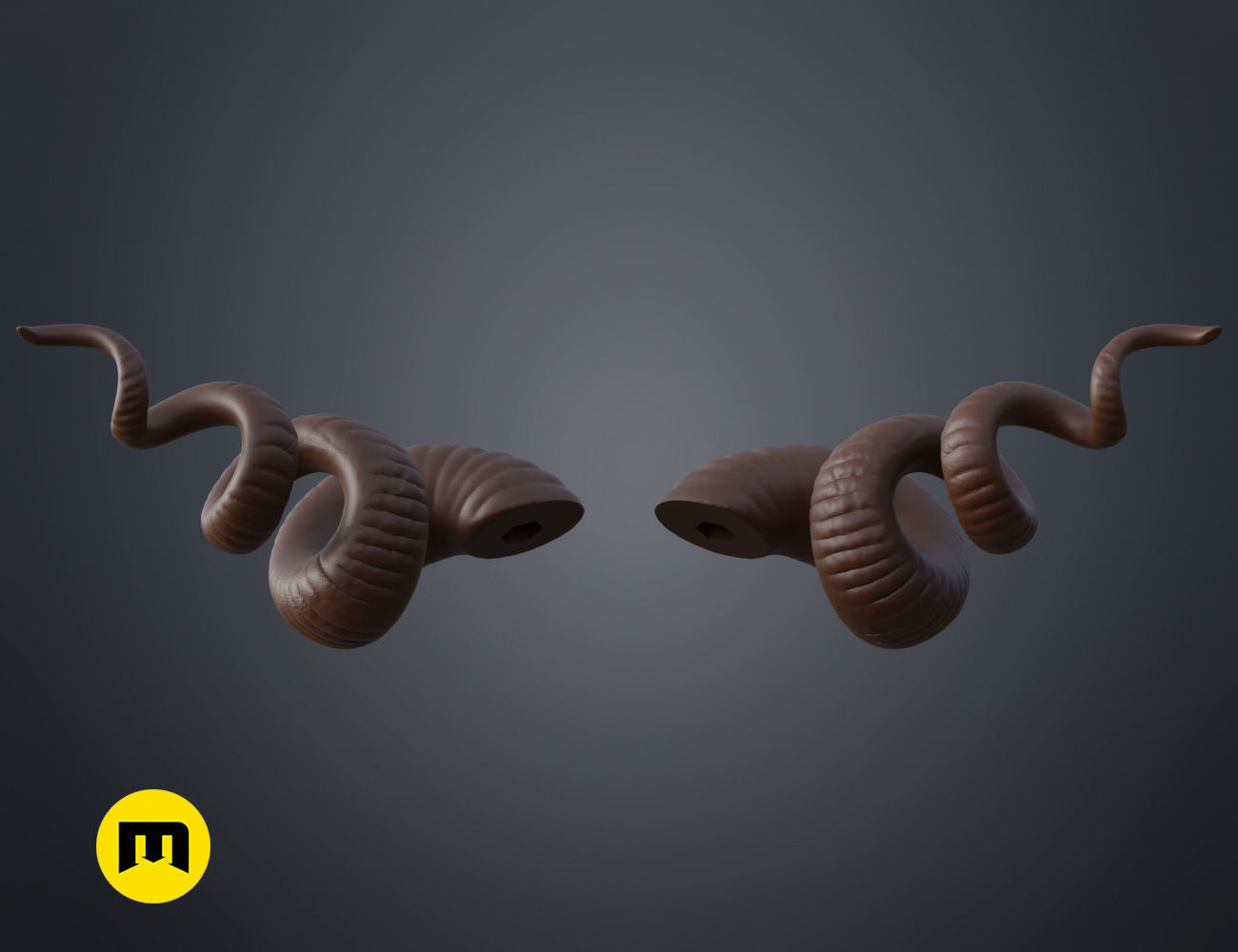 Helical horns 3D print model_3
