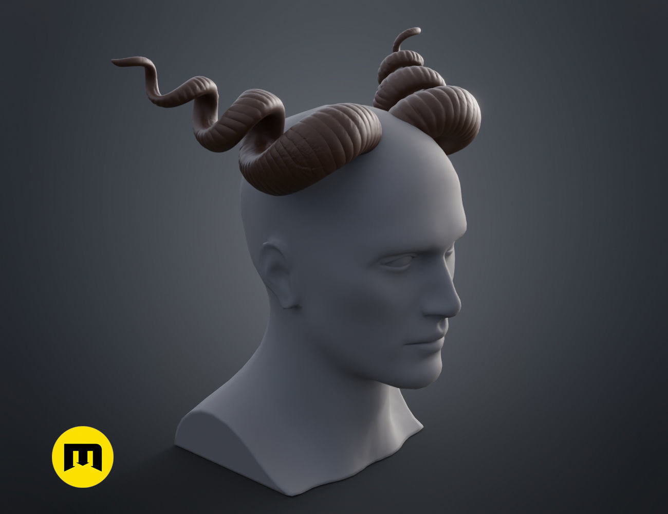 Helical horns 3D print model_11