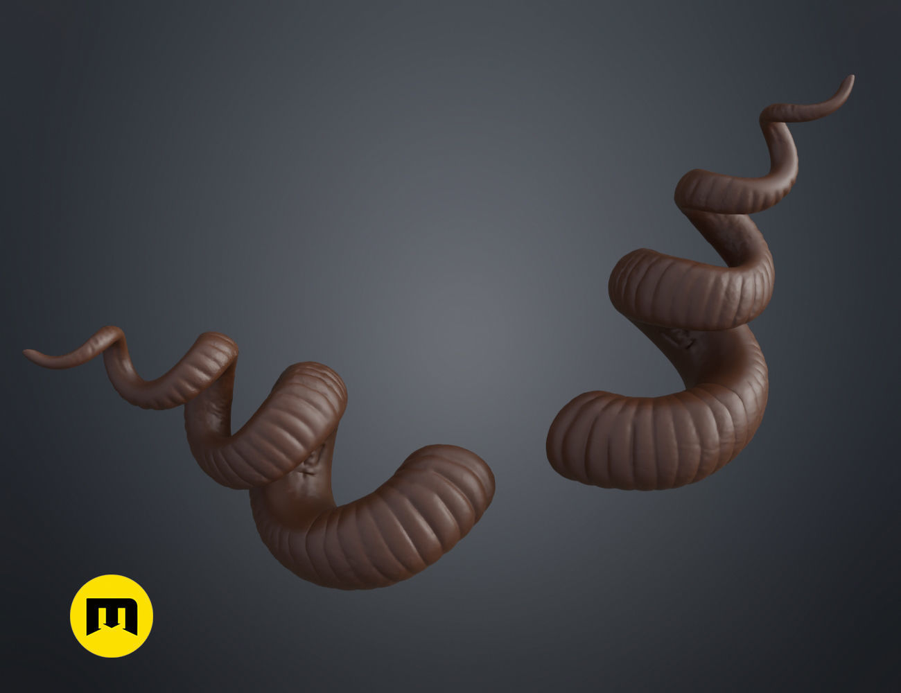 Helical horns 3D print model_9
