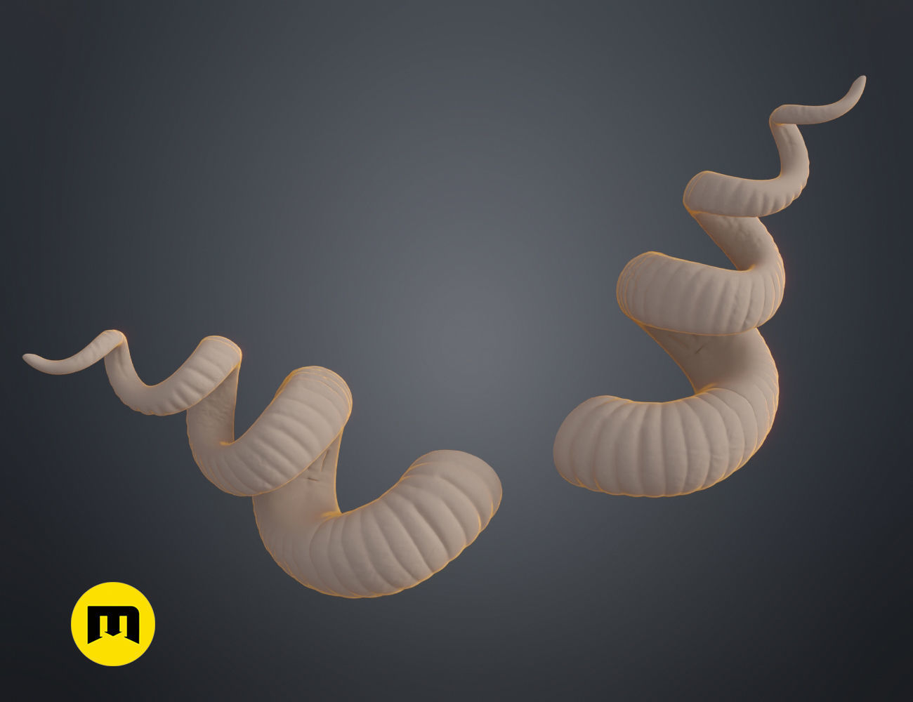 Helical horns 3D print model_12