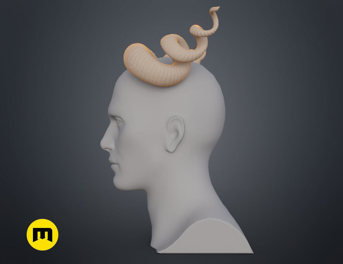 Helical horns 3D print model_6