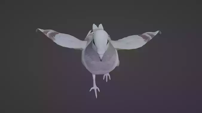 Pigeon bird 3D model