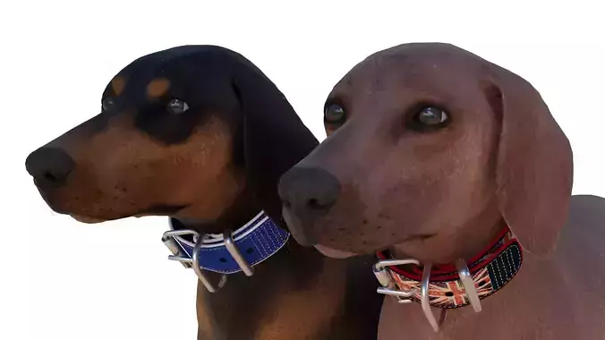 Dachshund Dog Low-poly 3D model