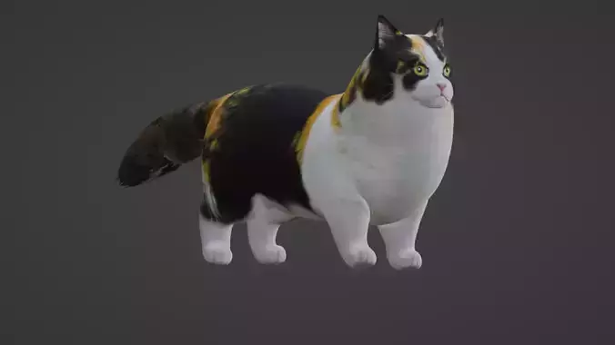 Cat Rigged 3D model