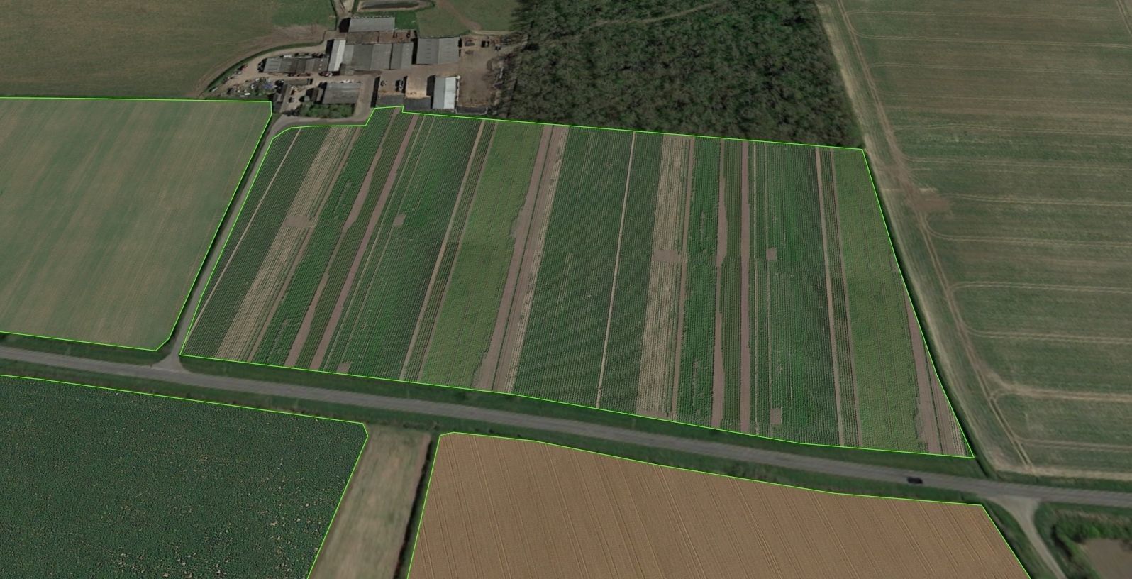 Aerial Grass - Seamless Texture_22