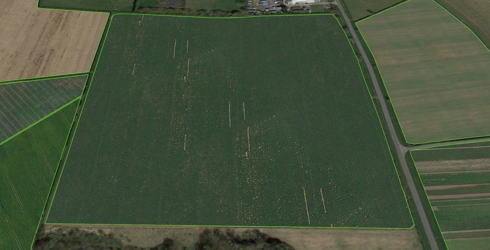 Aerial Grass - Seamless Texture_19