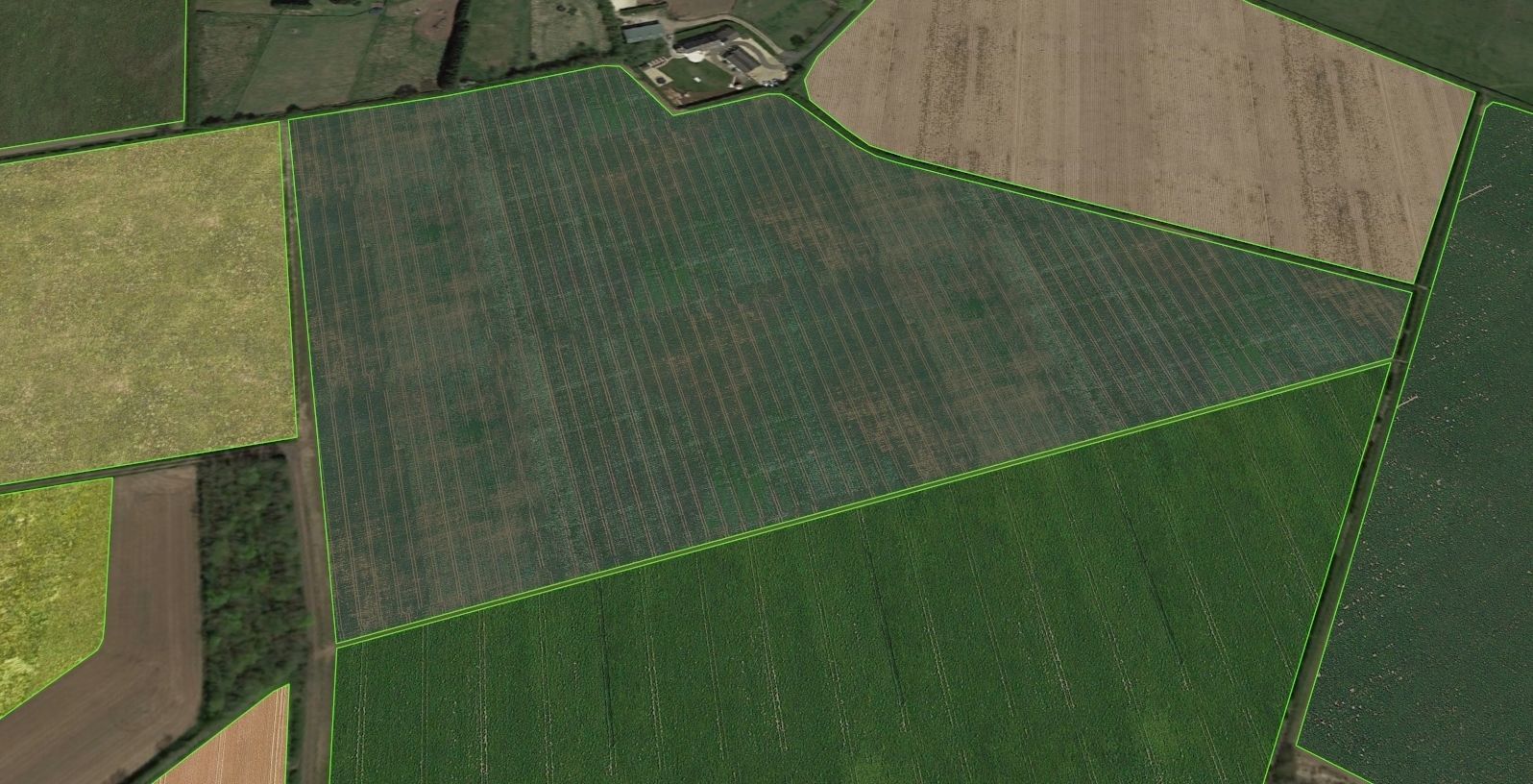 Aerial Grass - Seamless Texture_16