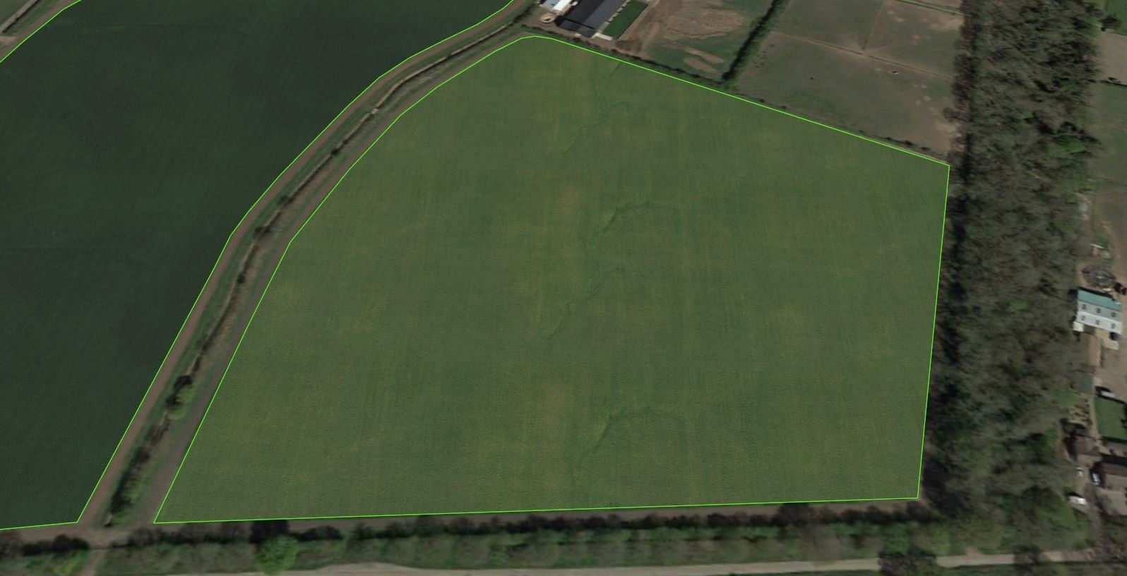 Aerial Grass - Seamless Texture_5