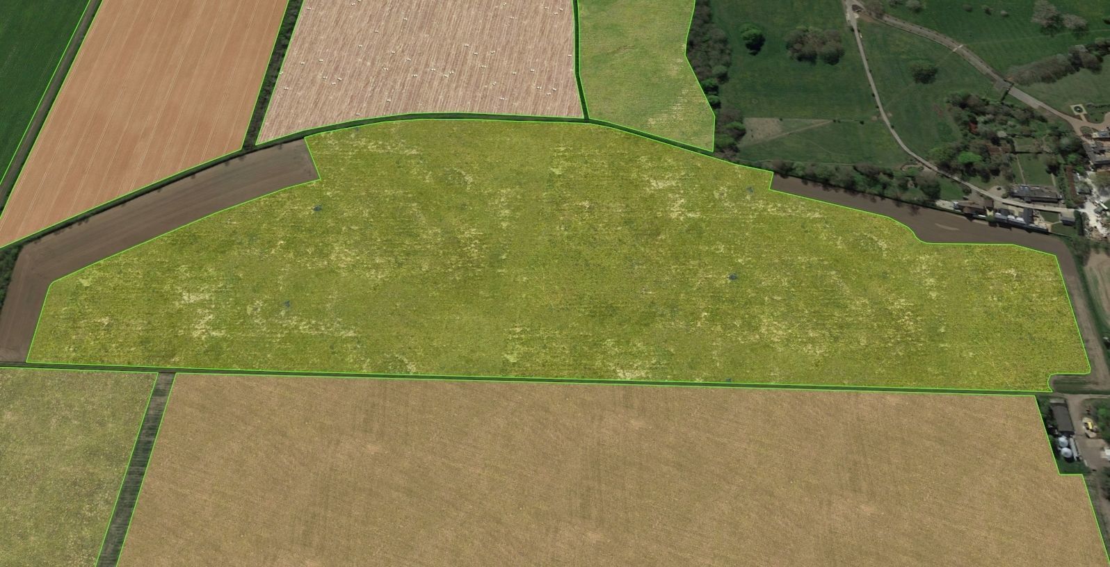 Aerial Grass - Seamless Texture_12