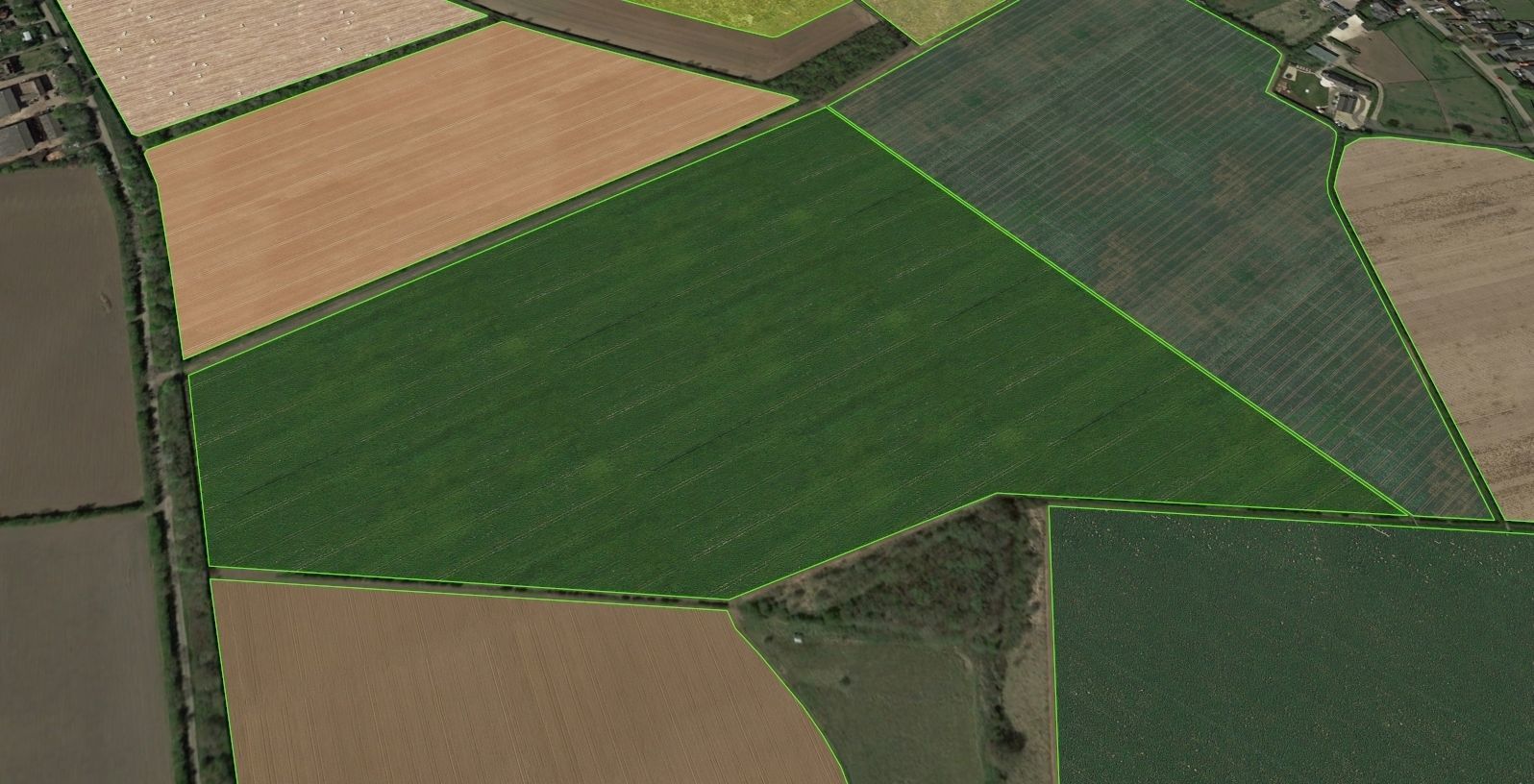 Aerial Grass - Seamless Texture_17