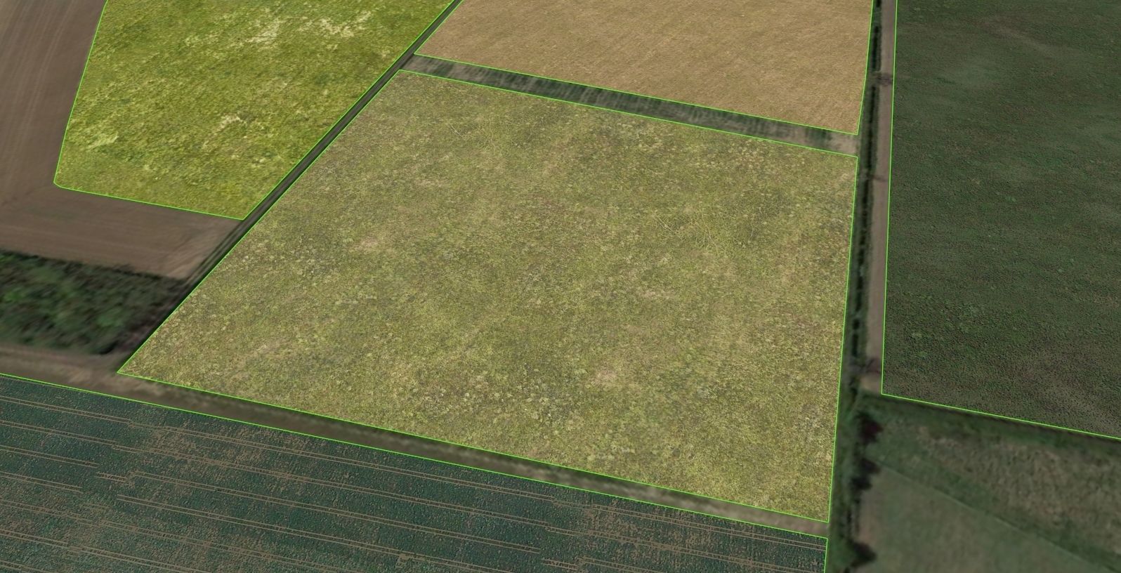 Aerial Grass - Seamless Texture_11