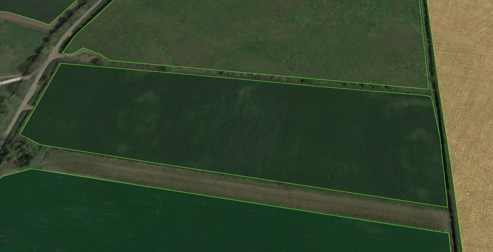 Aerial Grass - Seamless Texture_7