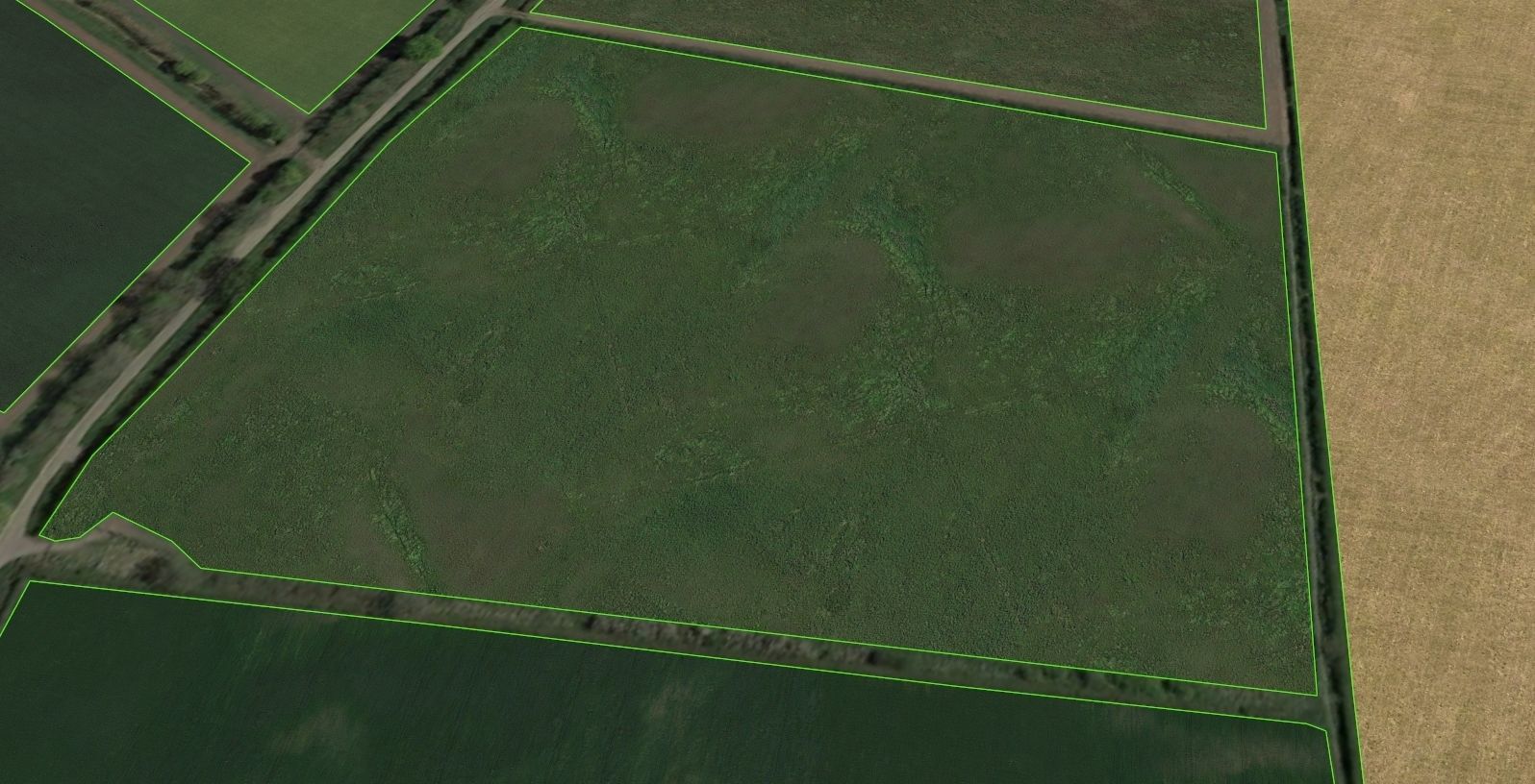 Aerial Grass - Seamless Texture_8