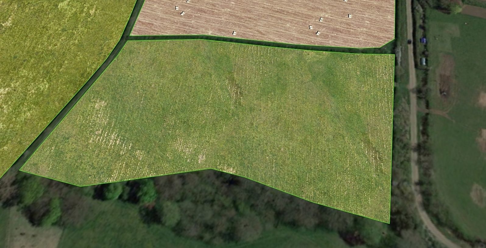 Aerial Grass - Seamless Texture_13